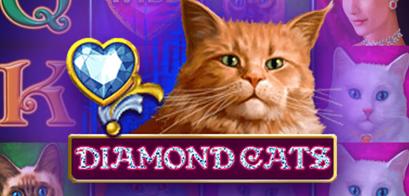 Игровой автомат Diamond Cats: обзор